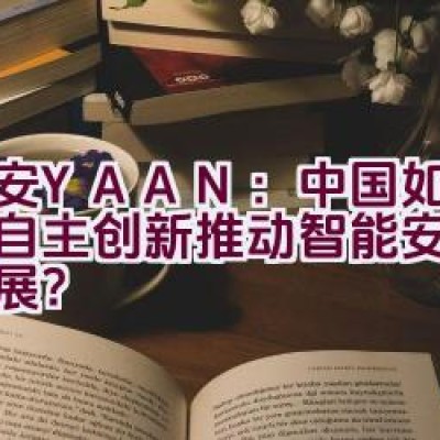 亚安YAAN：中国如何凭借自主创新推动智能安防事业发展？