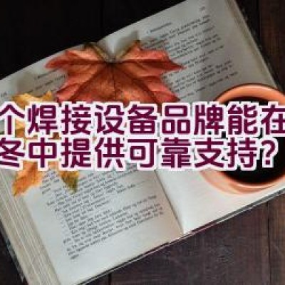 哪个焊接设备品牌能在数九寒冬中提供可靠支持？