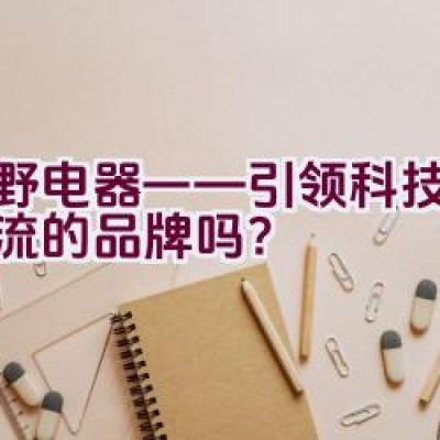 夏野电器——引领科技家电潮流的品牌吗？