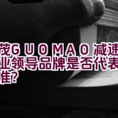 国茂GUOMAO减速机：行业领导品牌是否代表着最高标准？