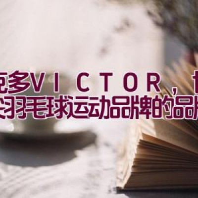 威克多-VICTOR，世界顶尖羽毛球运动品牌的品牌介绍