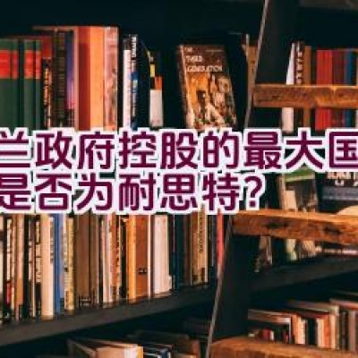 芬兰政府控股的最大国有企业是否为耐思特？