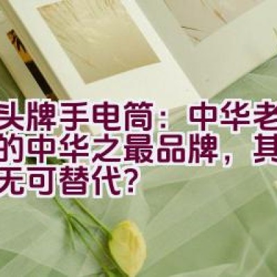 “虎头牌手电筒：中华老字号中的’中华之最’品牌，其地位是否无可替代？”