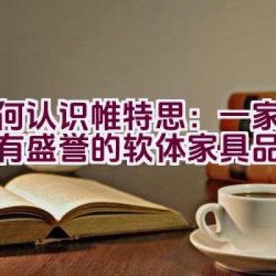 “如何认识帷特思：一家国内享有盛誉的软体家具品牌？”