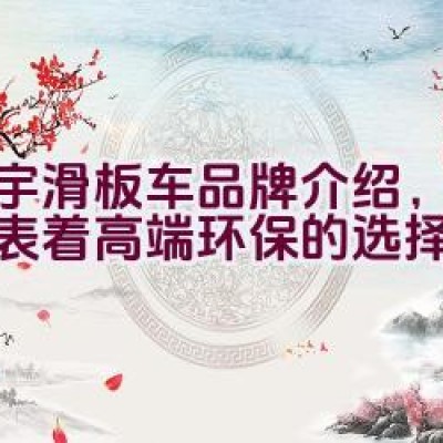 立宇滑板车品牌介绍，是否代表着高端环保的选择？