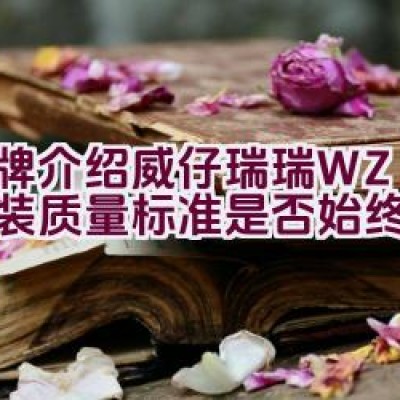 品牌介绍 | 威仔瑞瑞 WZRR童装-质量标准是否始终如一？