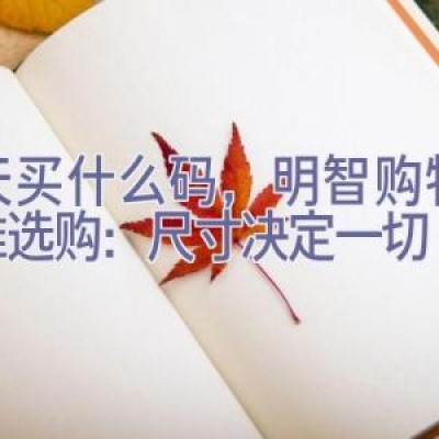 今天买什么码，明智购物：精准选购：尺寸决定一切