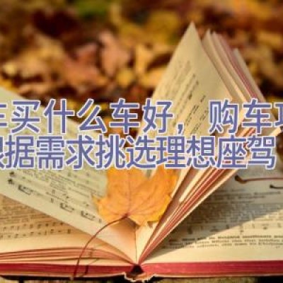 买车买什么车好，购车攻略：根据需求挑选理想座驾