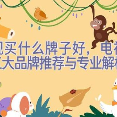 电视买什么牌子好，电视选购五大品牌推荐与专业解析