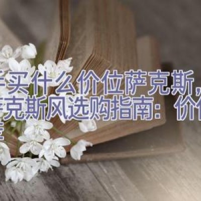 新手买什么价位萨克斯，新手萨克斯风选购指南：价位与推荐