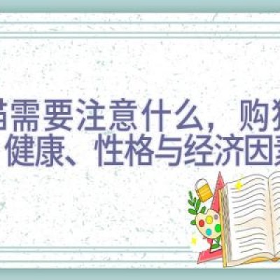 买猫需要注意什么，购猫指南：健康、性格与经济因素考量