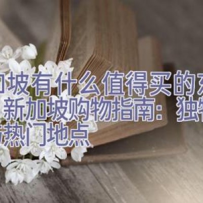 新加坡有什么值得买的东西吗，新加坡购物指南：独特商品与热门地点