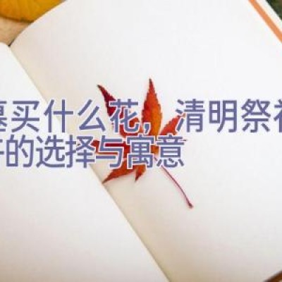 扫墓买什么花，清明祭祖：花卉的选择与寓意