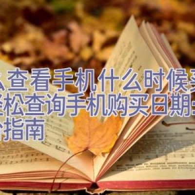 怎么查看手机什么时候买的，轻松查询手机购买日期：全平台指南